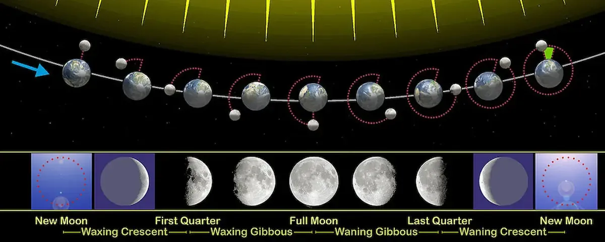 Diagram showing all moon phases along the lunar orbit.