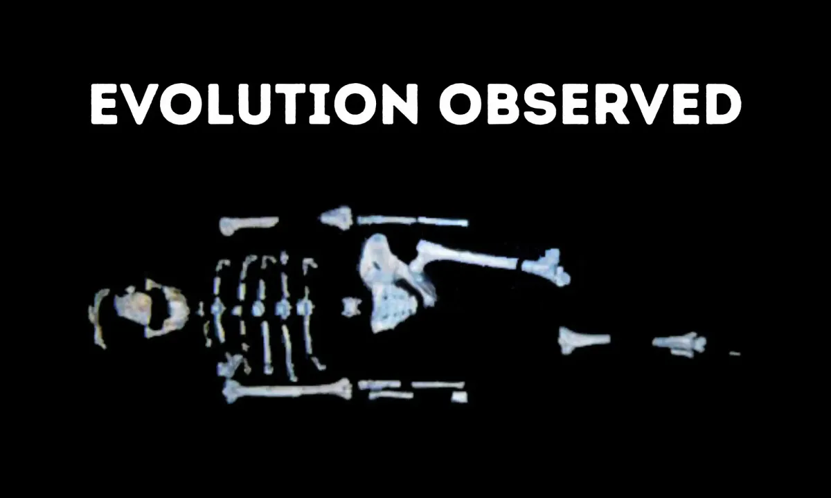 Yes, Creationists, We Have Seen Evolution in Action.